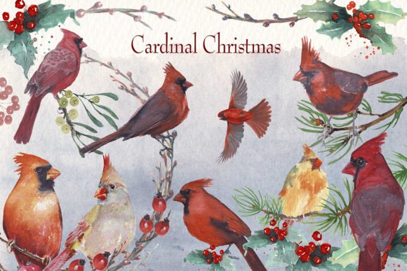 Cardinal Christmas Watercolor Clipart Set: Editorial Illustrations