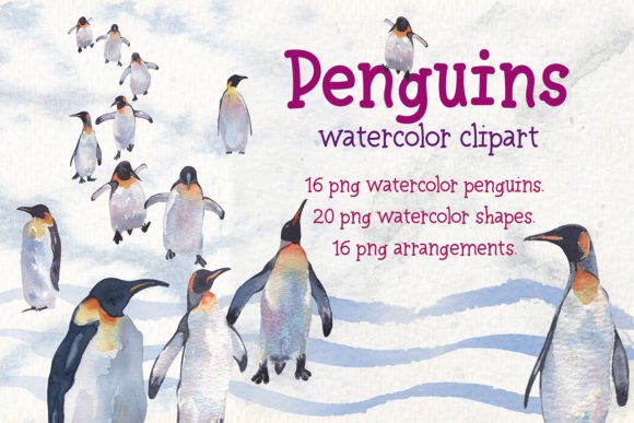 Emperor Penguins Watercolor Clipart Illustrations Review