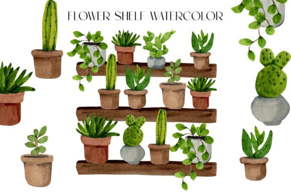 Flower Shelf Watercolor Png Clipart: Illustrations Review