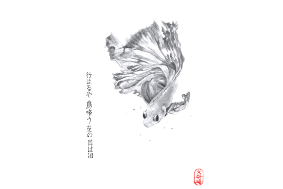 Japanese Watercolor Zen Art: Goldfish Illustrations