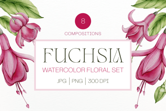 Pink Watercolor Fuchsia Flower Cliparts: Illustrations for Crafters