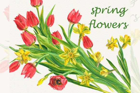 Spring Flower Clipart, Tulip Illustrations for Branding