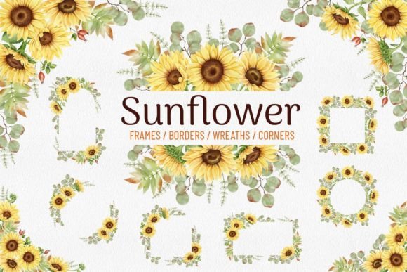 Sunflower & Eucalyptus Frame Illustrations