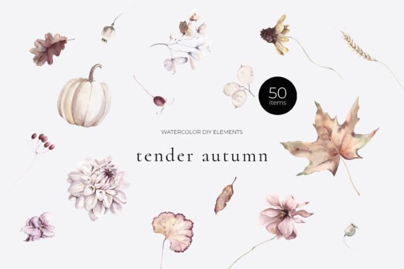 Tender Autumn Watercolor Elements: Illustrations for Crafters