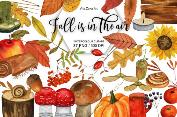 Watercolor Autumn Clipart, Fall PNG Set: Illustrations Review