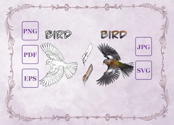 Watercolor B w Vector Birds Set: Illustrations for Crafters