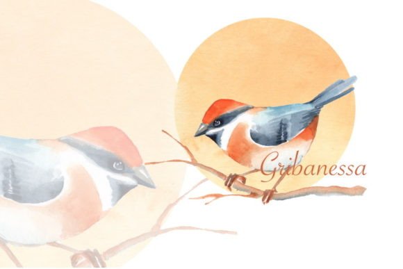 Watercolor Bird PNG: Editorial Illustrations Review