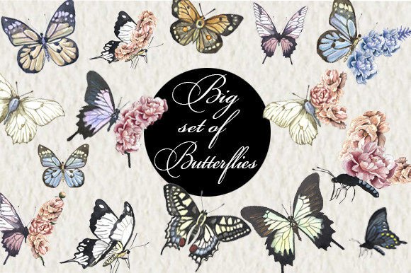 Watercolor Butterfly Peonies Illustrations Review