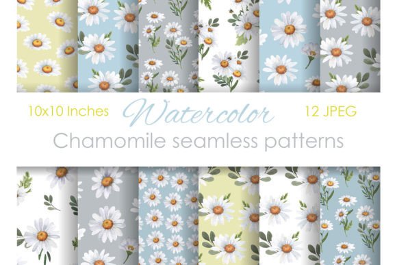 Watercolor Digital Paper Chamomile Flora Illustrations