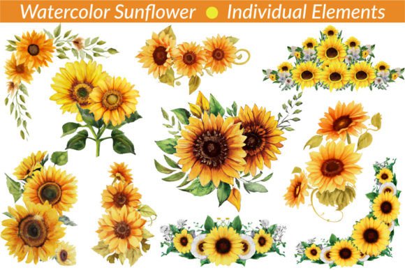 Watercolor Sunflower Bouquet Clipart: Editorial Illustrations